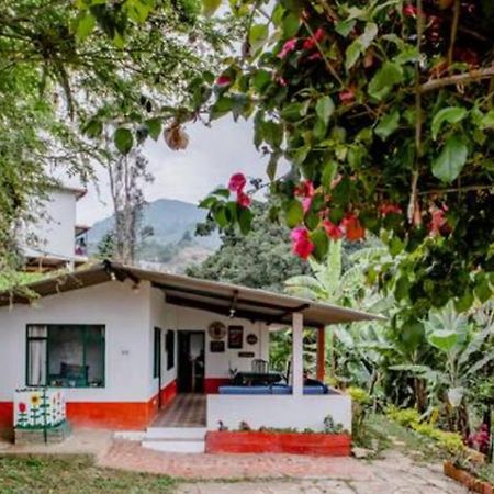 Finca Umnisa - Чоачі Екстер'єр фото