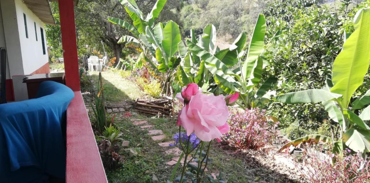 Finca Umnisa - Чоачі Екстер'єр фото
